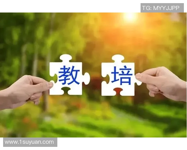 张昊的奋斗历程与成长故事探寻成功背后的坚持与努力